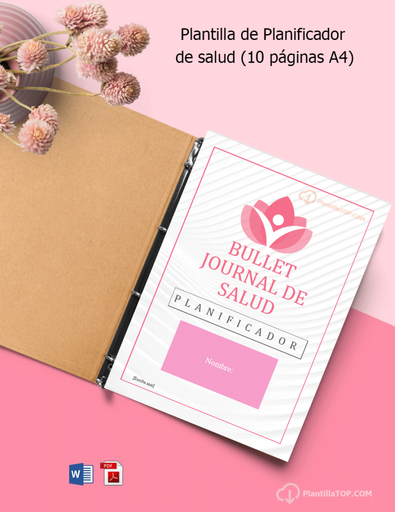Bullet Journal de Salud