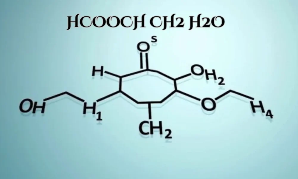 The Chemistry Behind HCOOCH CH2 H2O A Methyl Formate and Its Hydrolysis