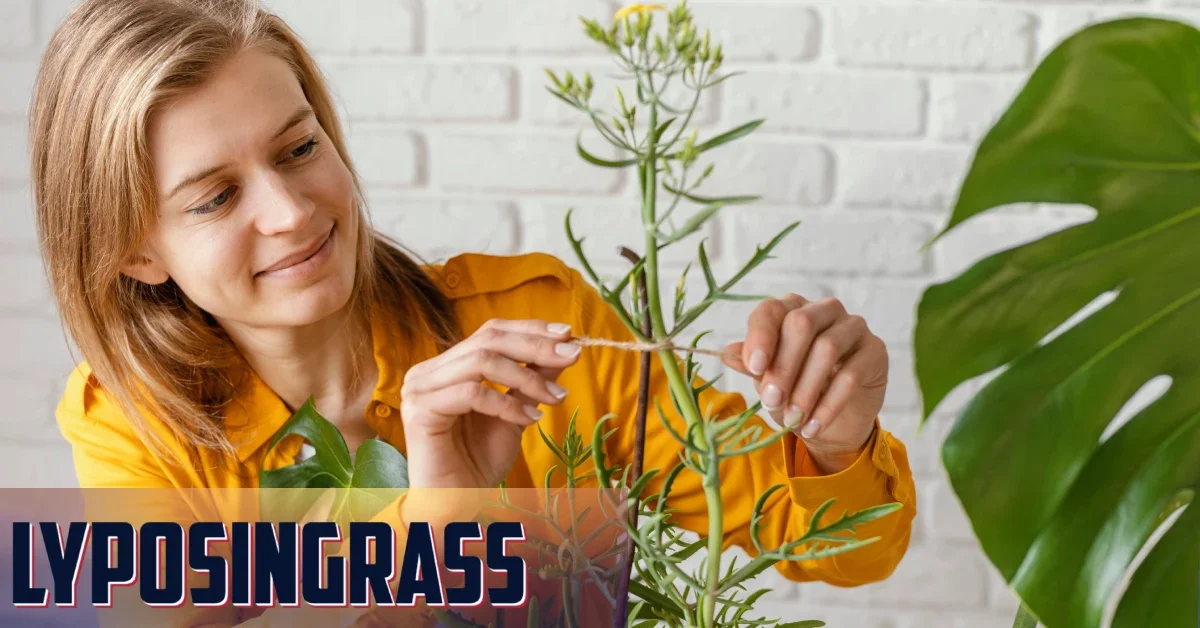 Lyposingrass Unveiled: A Guide to Cultivating This Remarkably Tough Perennial